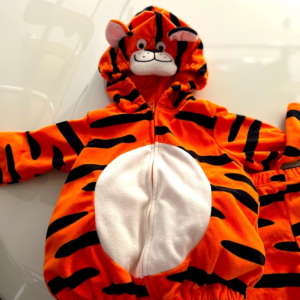 Tiger Disney Costume 24 months
